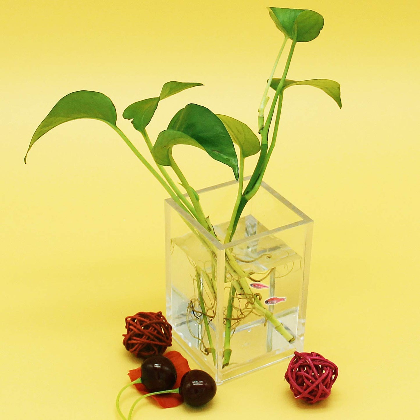 Acrylic Pencil Pen Holder Cup | Transparent Desk  Organizer | 2 PCS | 2.6x 2.6x 4 inches